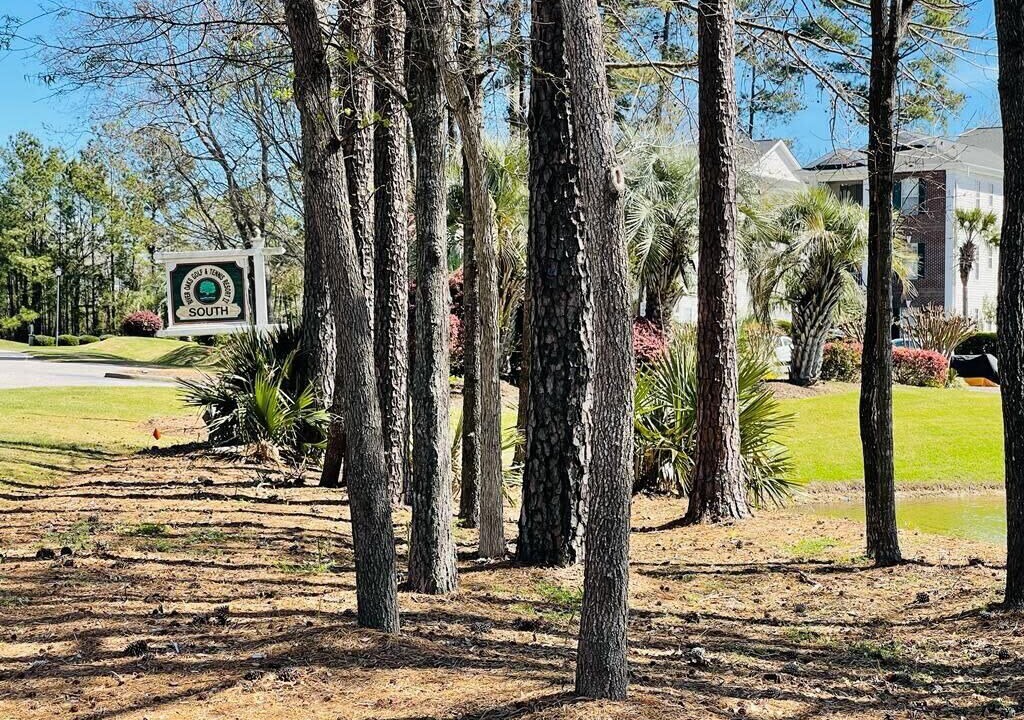 Photo of Outdoor in Carolina Forest