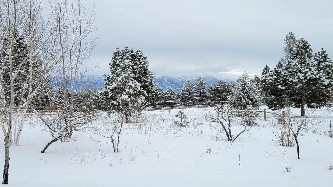 Photo of Outdoor in Kalispell