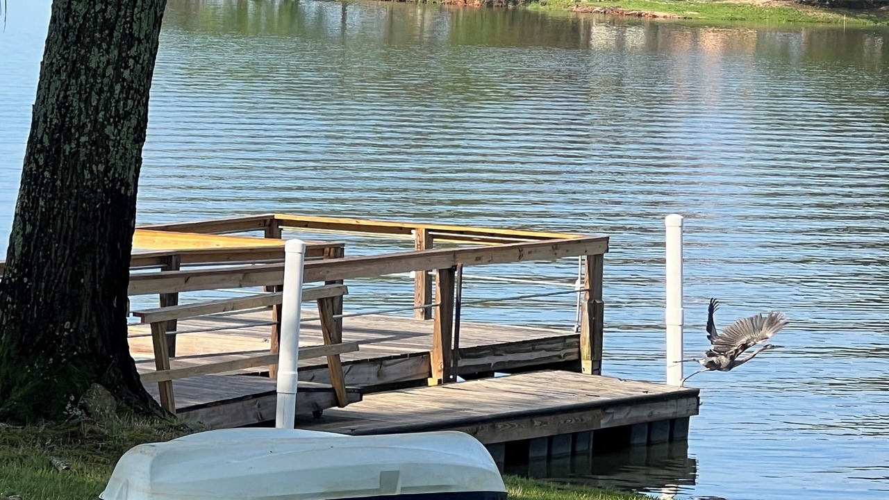 Photo of Outdoor in Liberty Hill