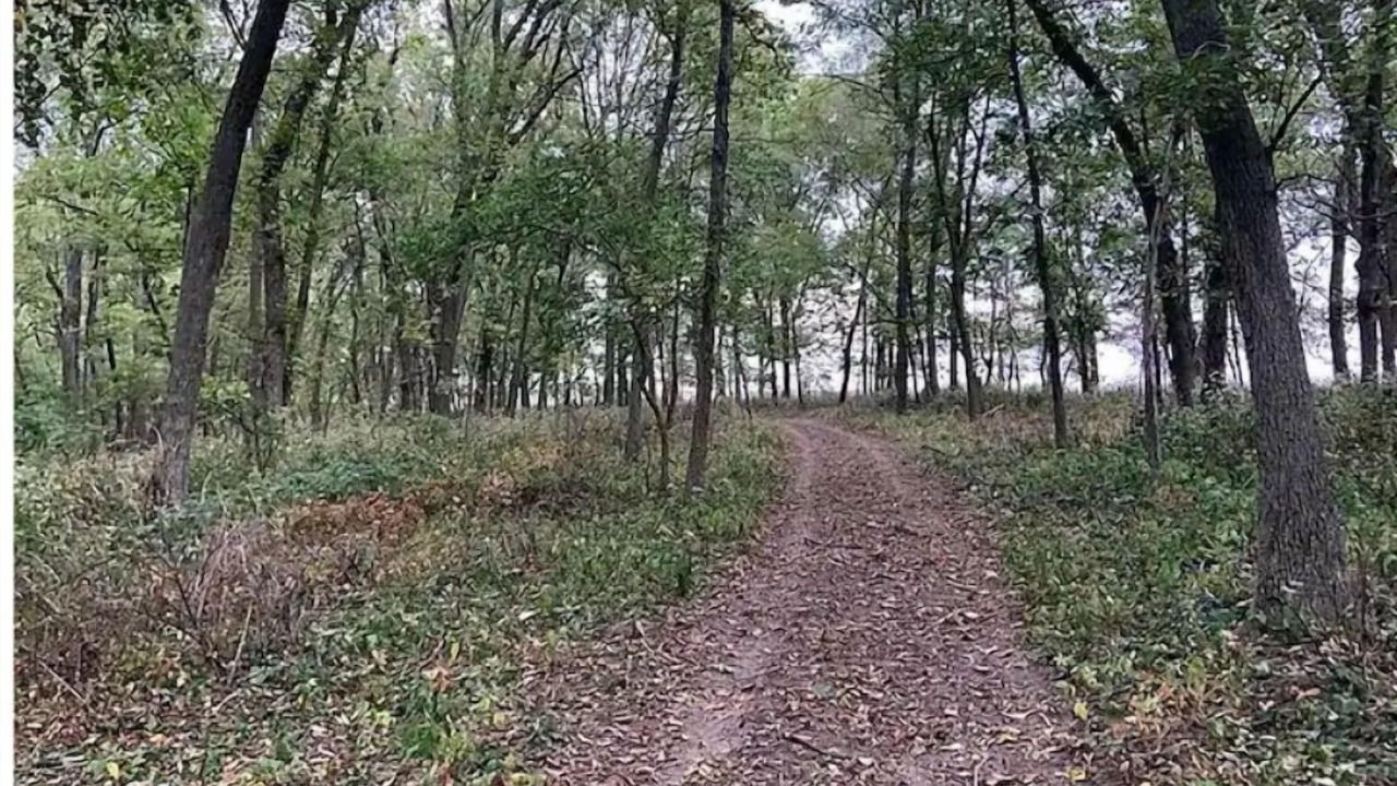 Photo of Outdoor in Guthrie County