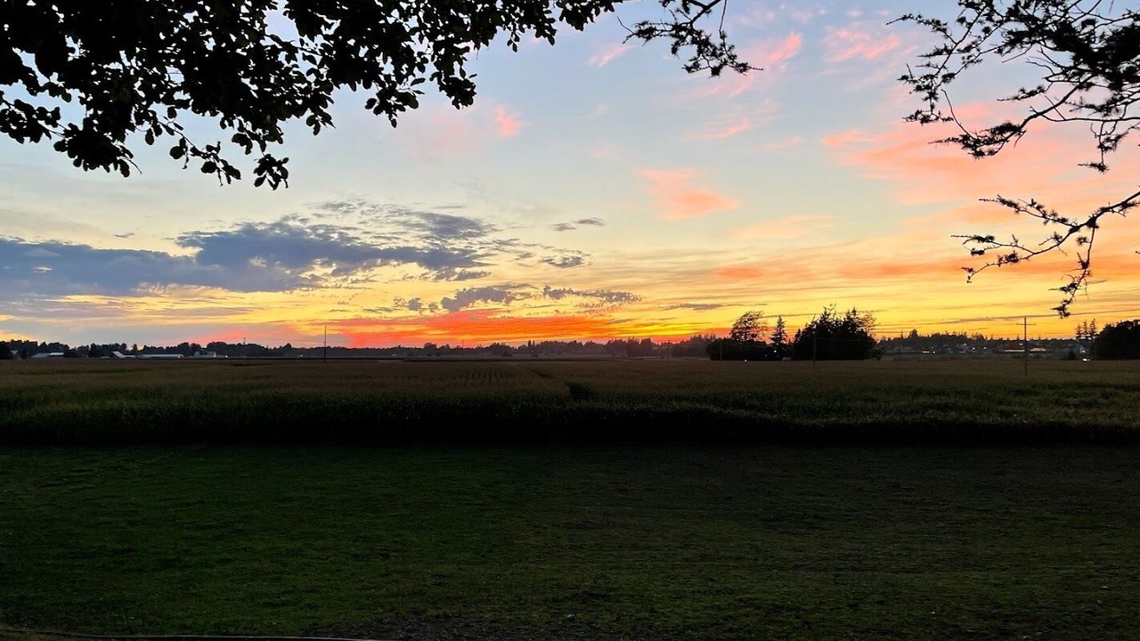 Photo of Outdoor in Lynden