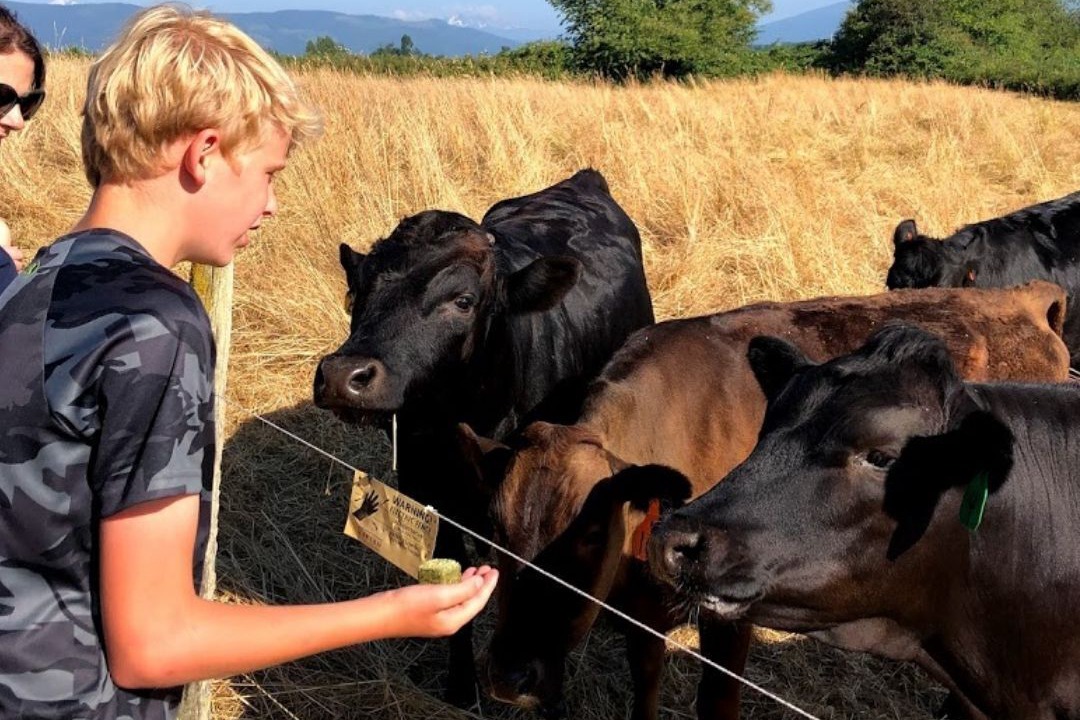 Photo of Others in Lynden