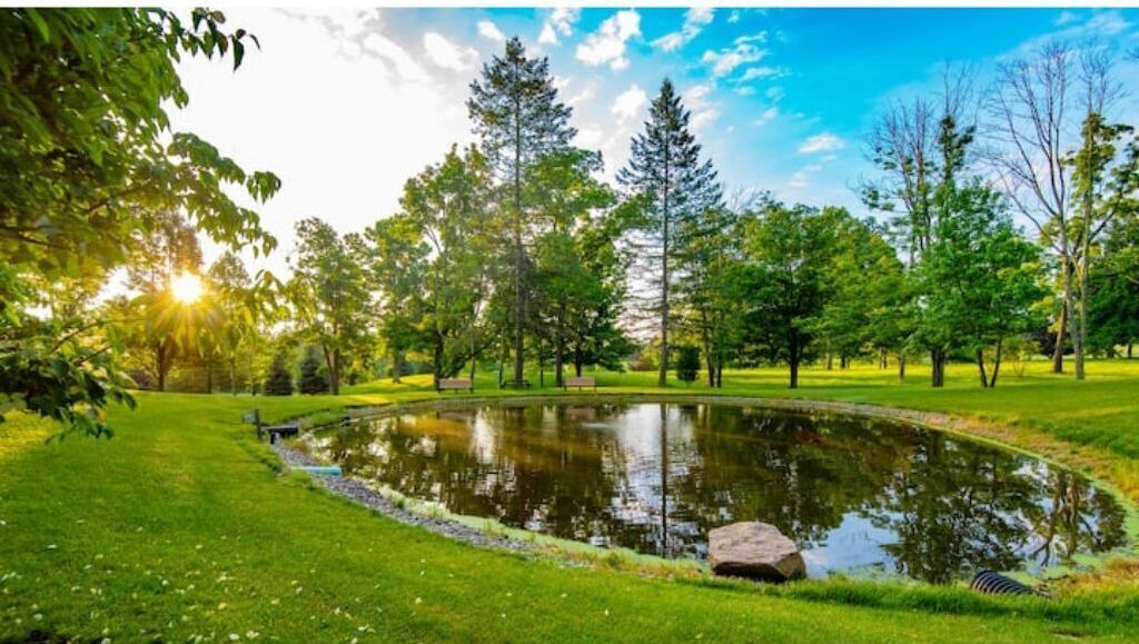 Photo of Outdoor in Mansfield