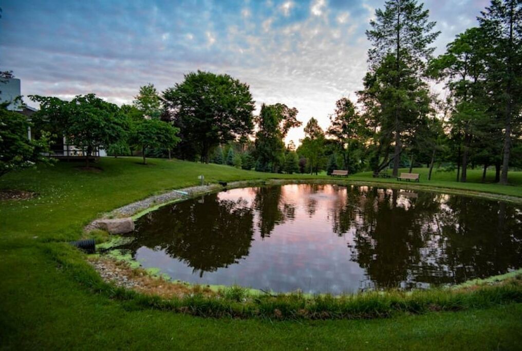 Photo of Outdoor in Mansfield