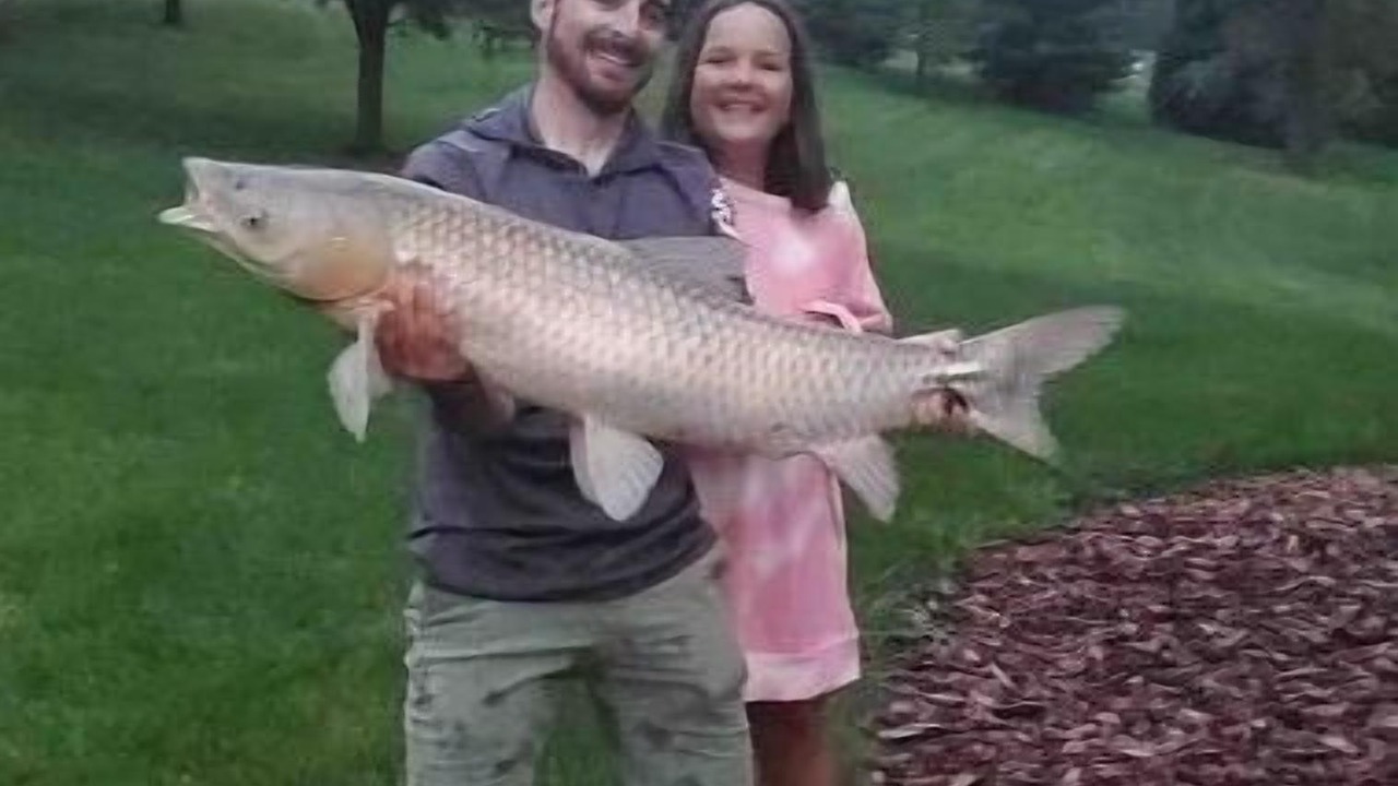 Photo of Others in Mansfield