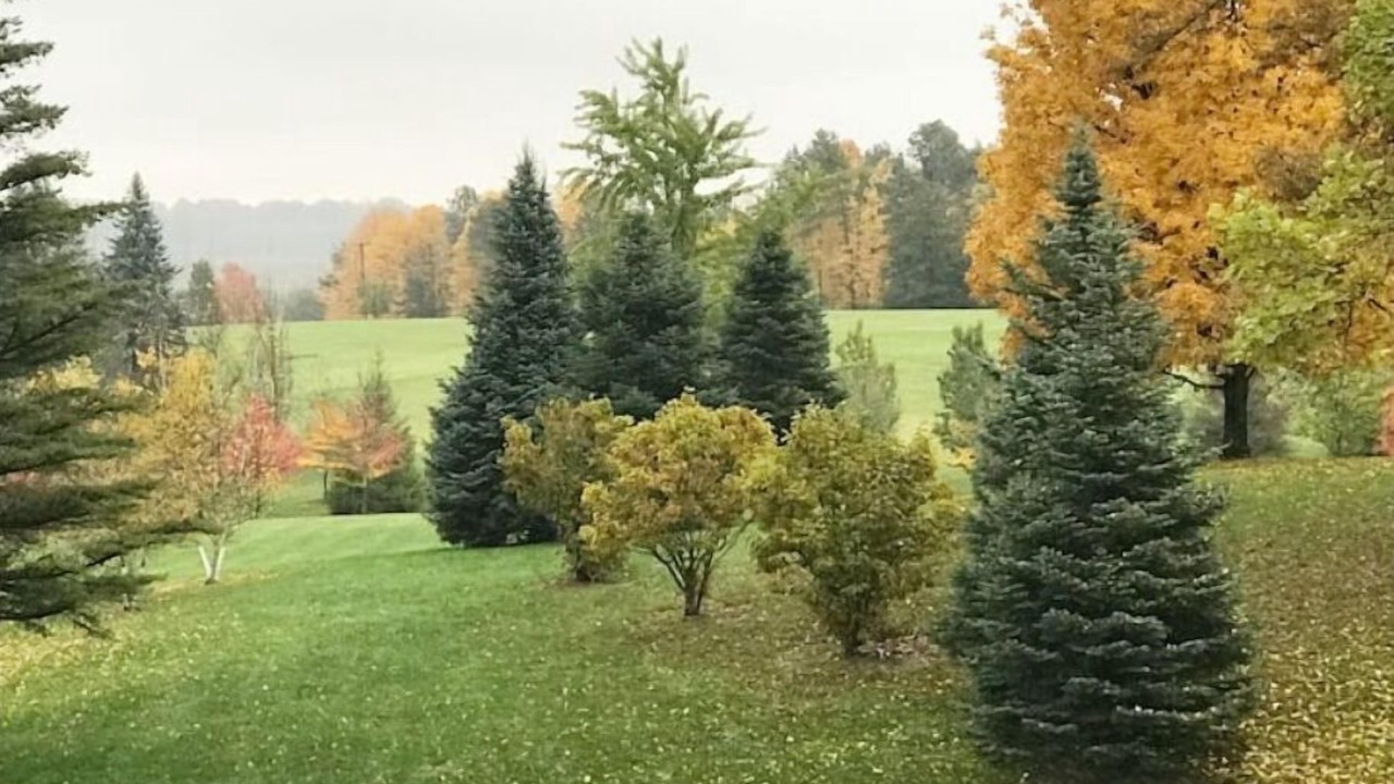 Photo of Outdoor in Mansfield