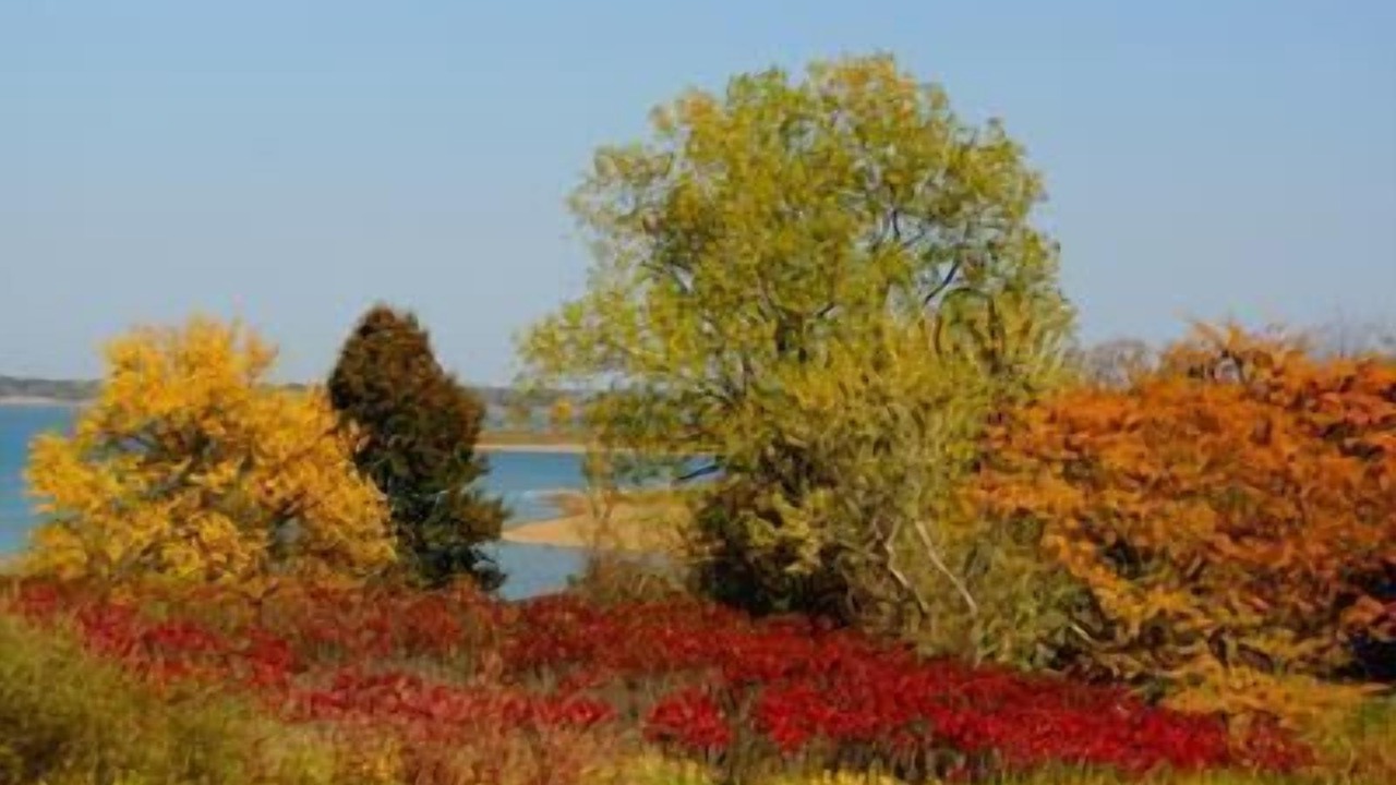 Photo of Outdoor in Moravia