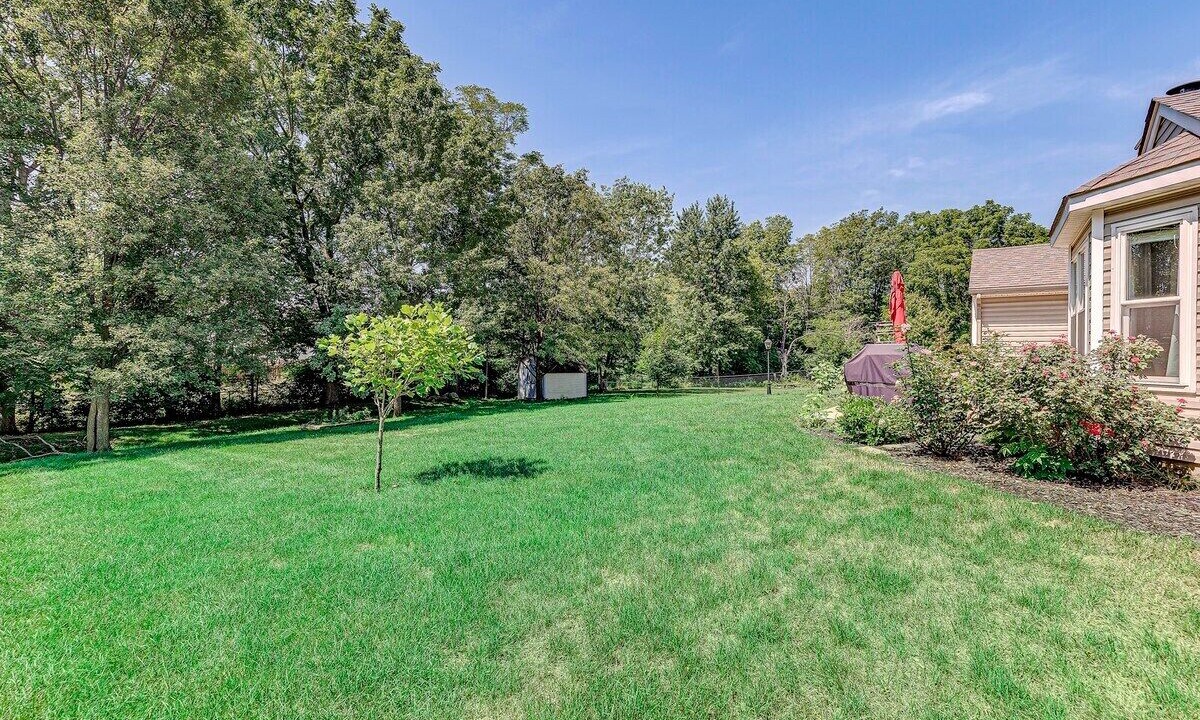 Photo of Outdoor in Westfield