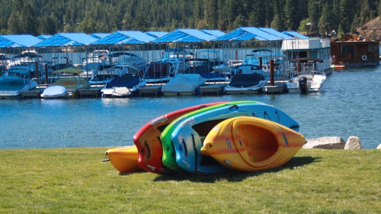 Photo of Others in Dover Bay