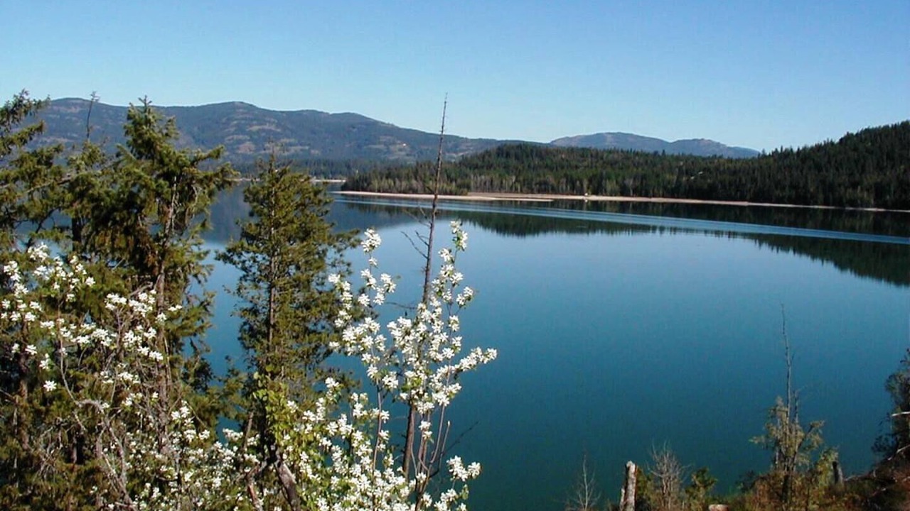 Photo of Outdoor in Dover Bay