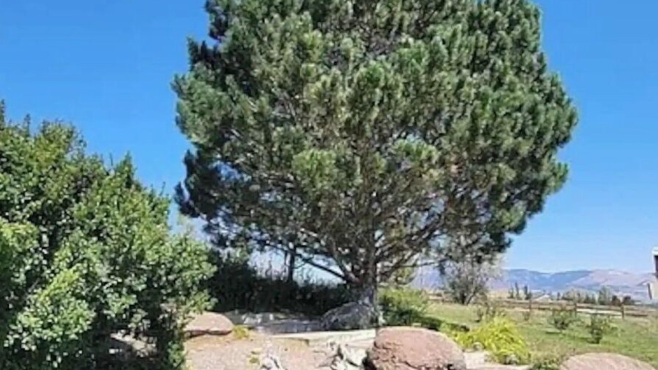 Photo of Outdoor in Whitehall