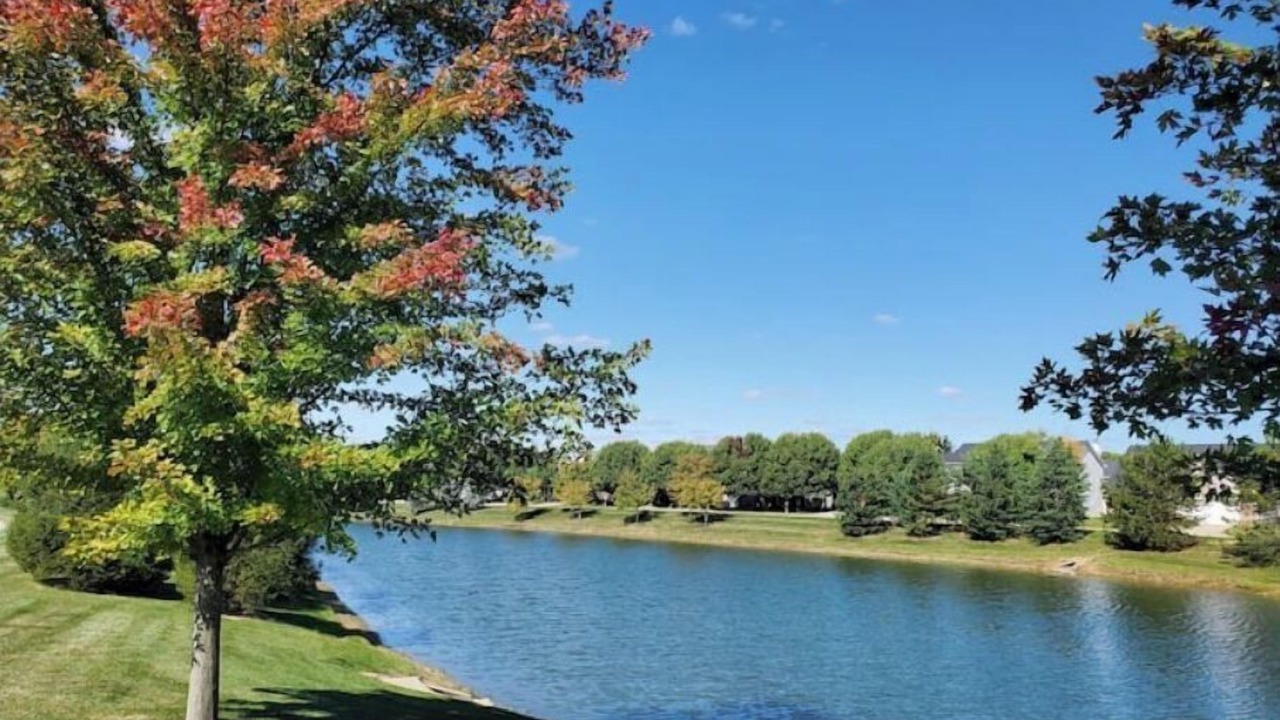 Photo of Outdoor in Westfield