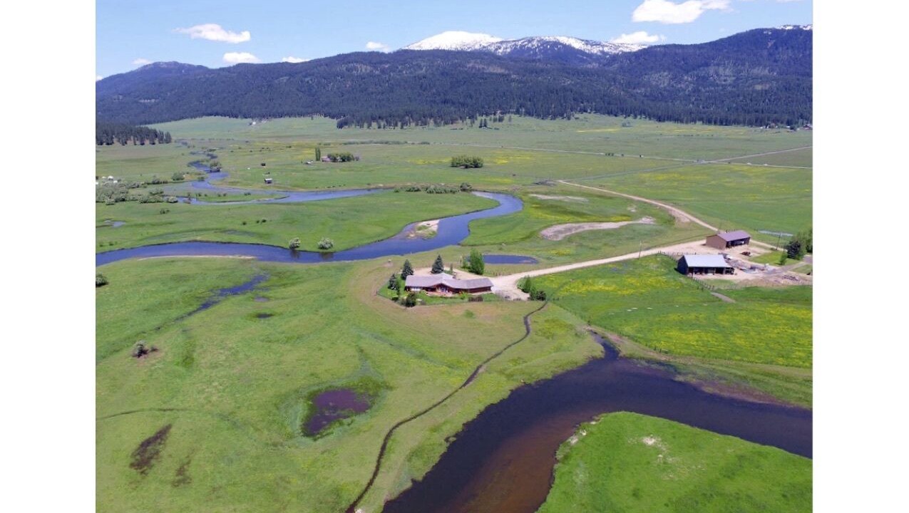 Photo of Others in New Meadows