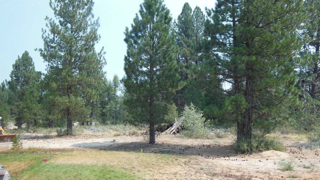 Photo of Others in Placerville