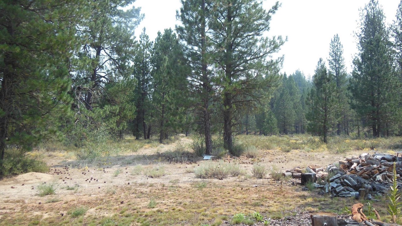 Photo of Bedroom in Placerville