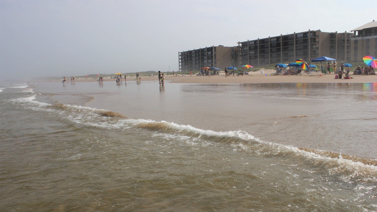 Photo of Others in South Padre Island