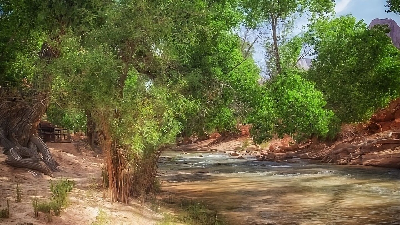 Photo of Outdoor in Zion National Park South Entrance