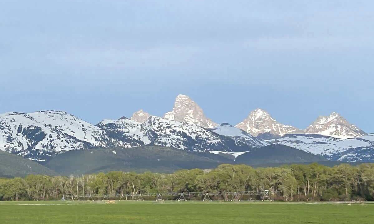 Photo of Others in Tetonia