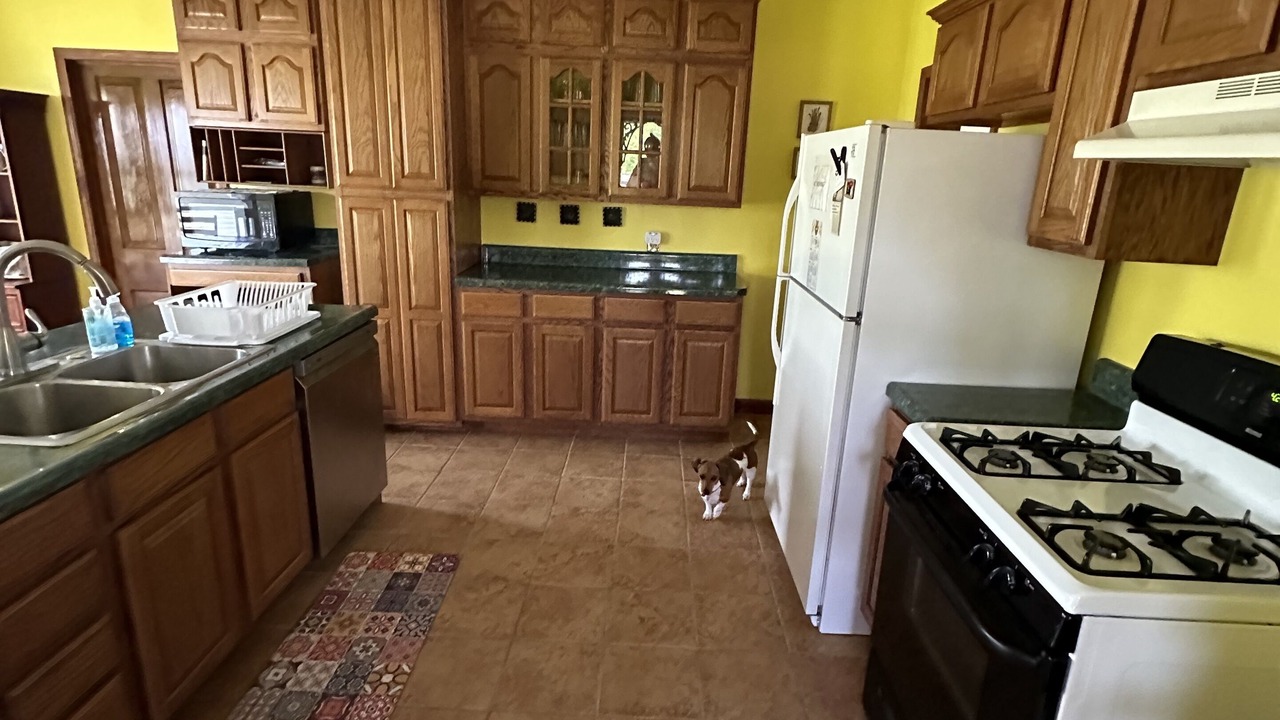 Photo of Kitchen in Glouster