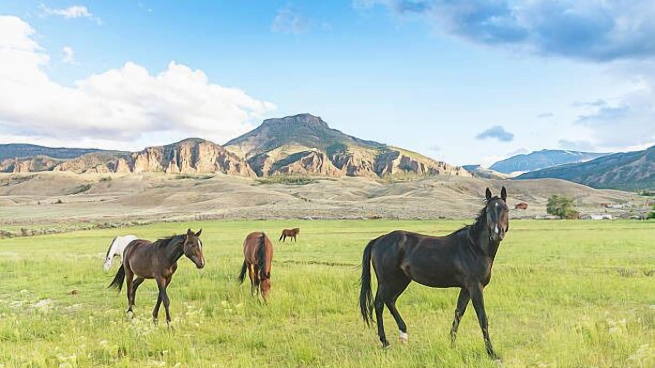 Photo of Others in Rock Springs
