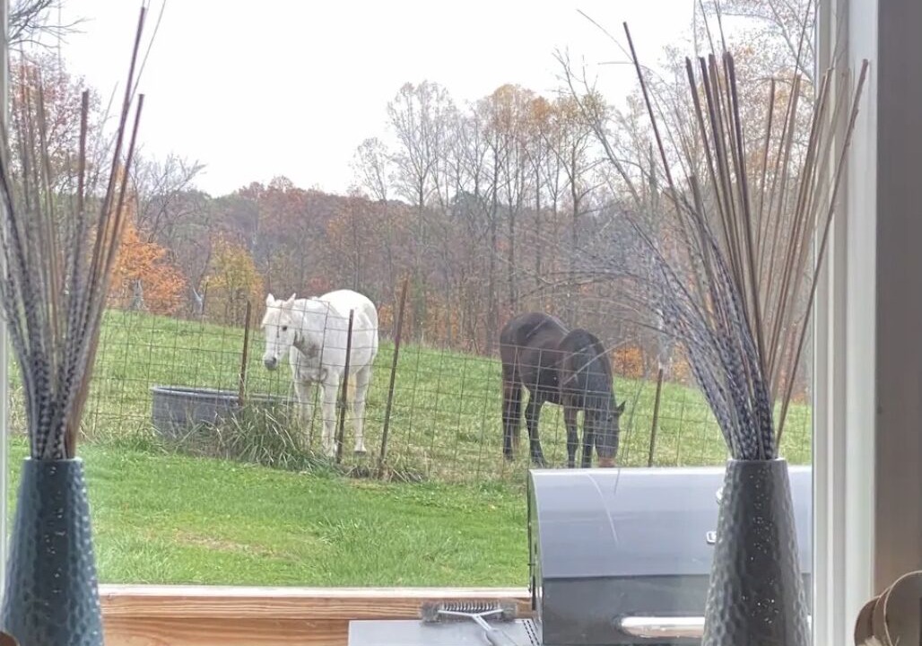 Photo of Others in Sharpsburg