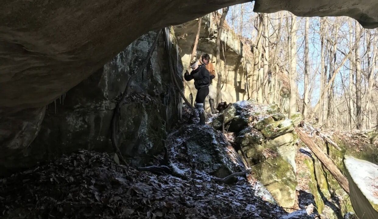 Photo of Others in Sharpsburg