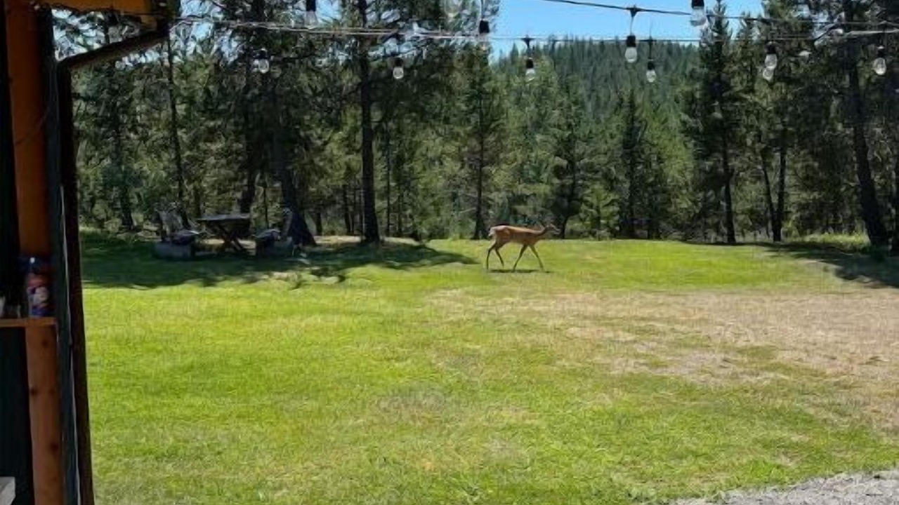 Photo of Outdoor in Coram