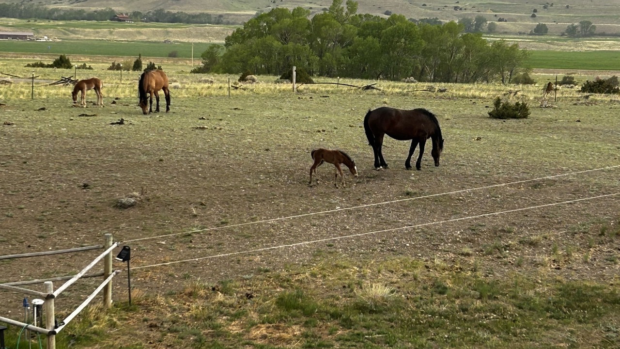 Photo of Outdoor in Pray