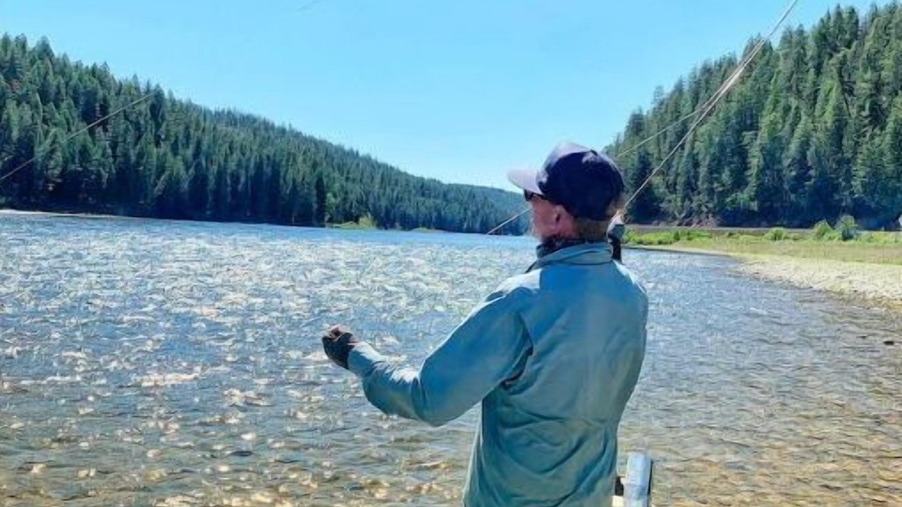 Photo of Others in Sandpoint