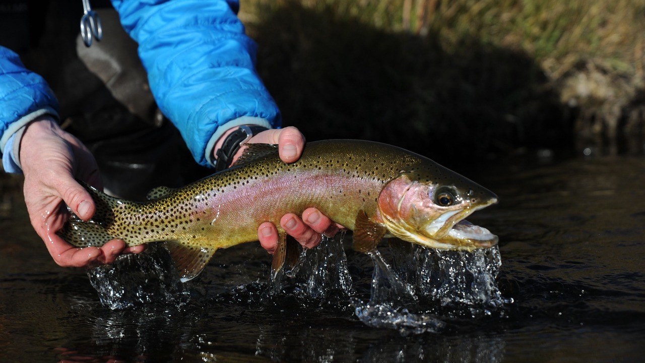 Photo of Others in Cascade