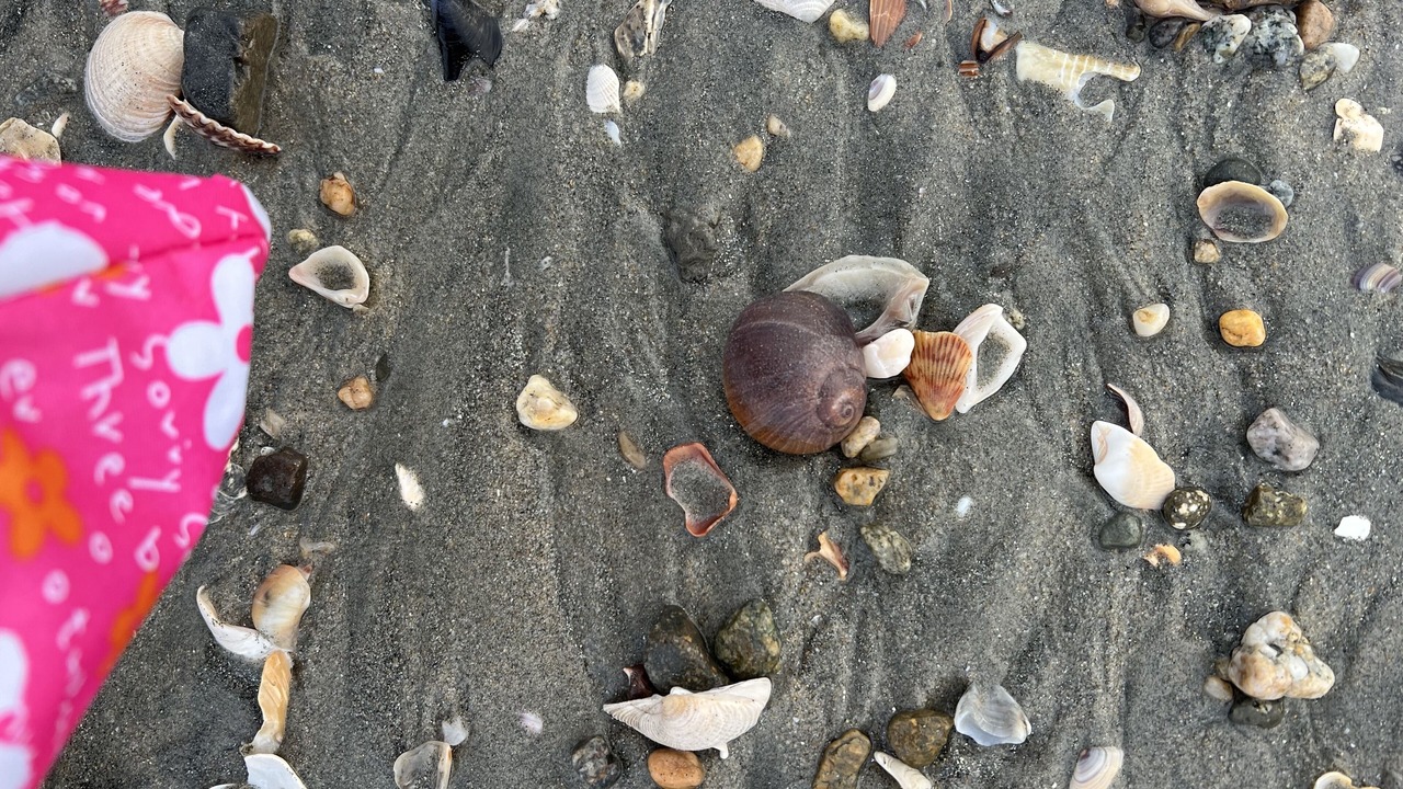 Photo of Others in Peninsula