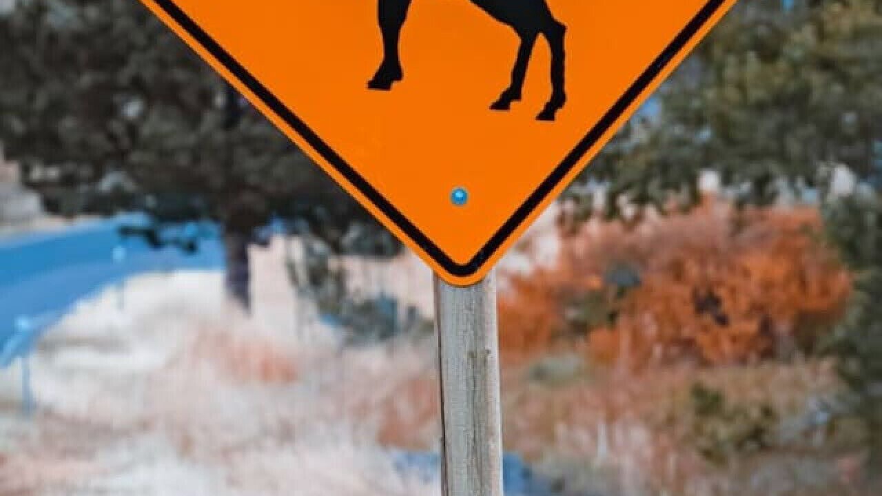 Photo of Others in Wolf Creek