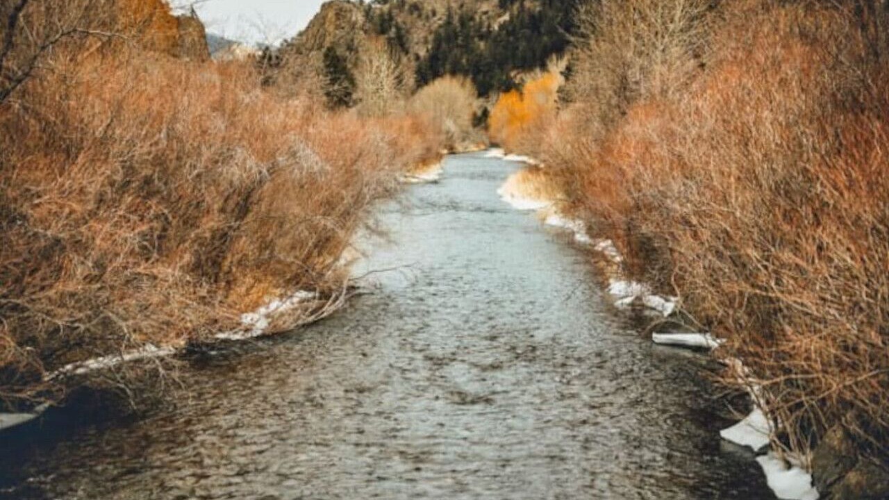 Photo of Others in Wolf Creek