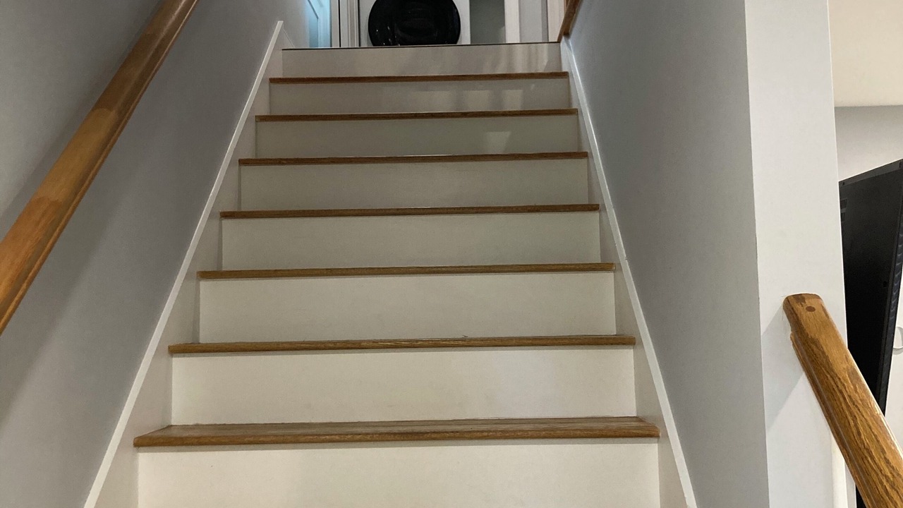 Photo of Others in Roslindale