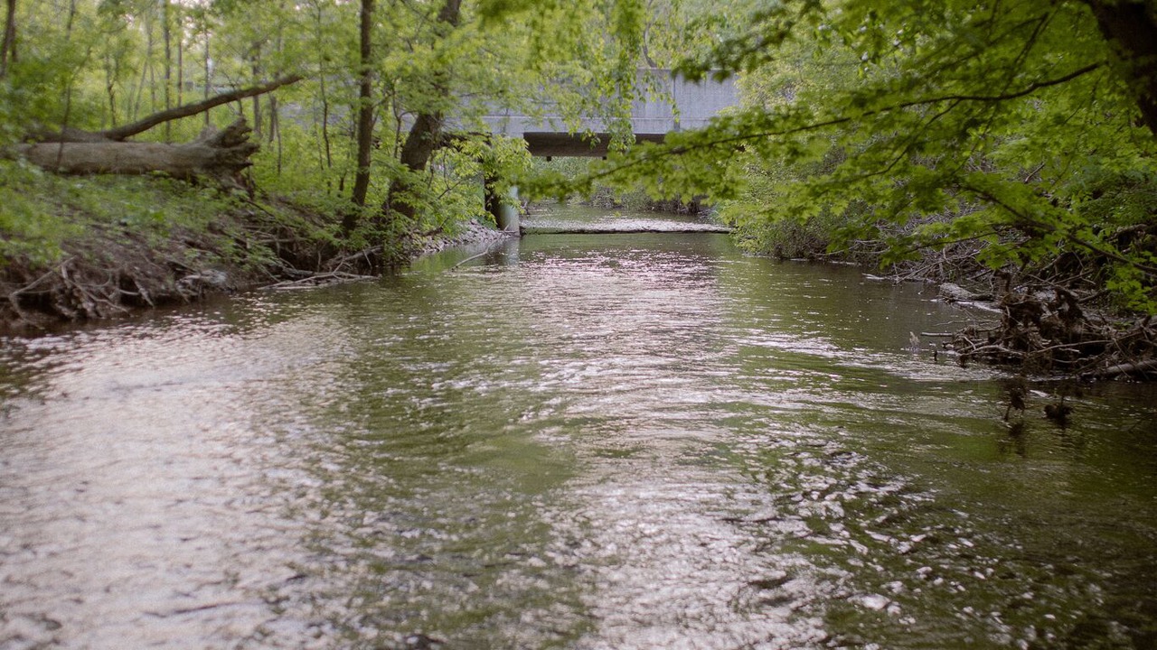 Photo of Others in Milford