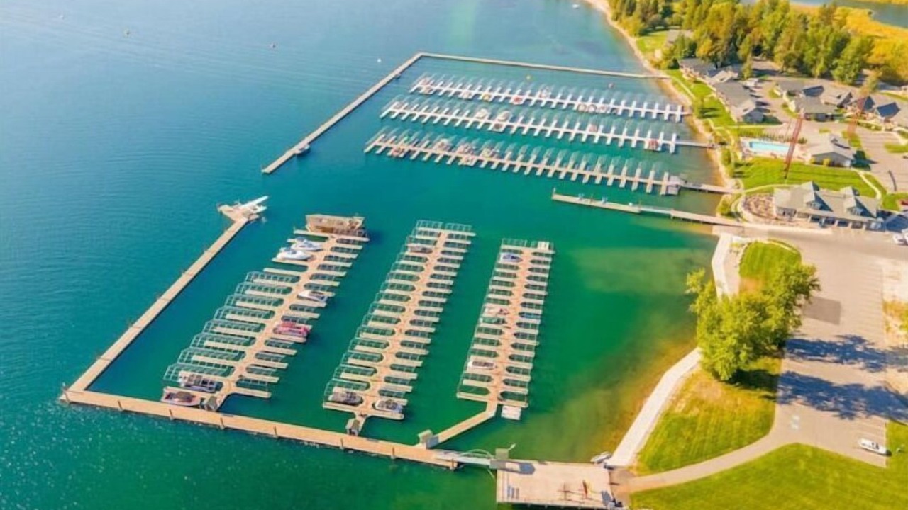 Photo of Others in Dover Bay