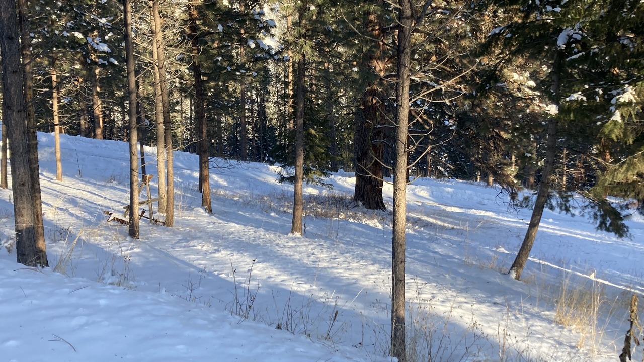 Photo of Others in Missoula