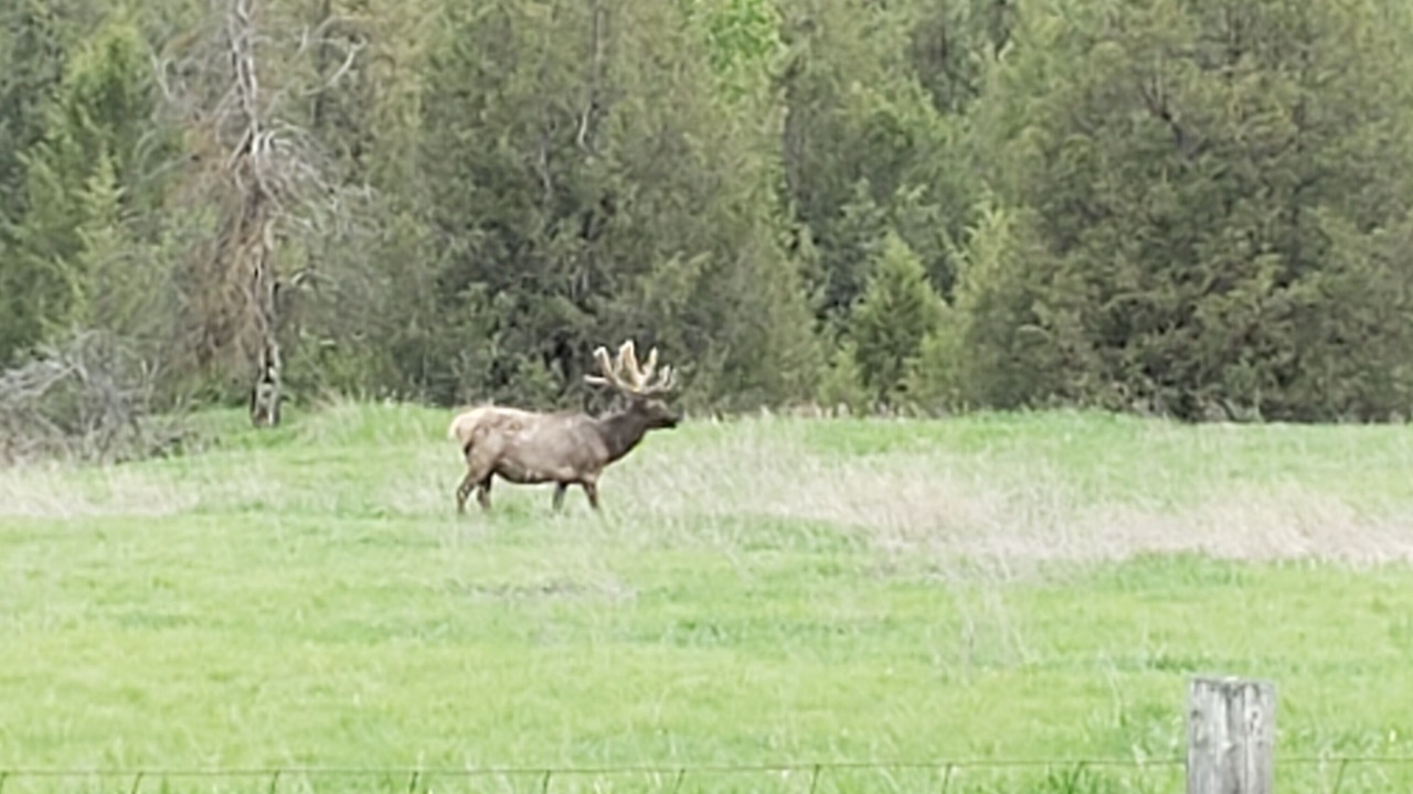 Photo of Others in Plains