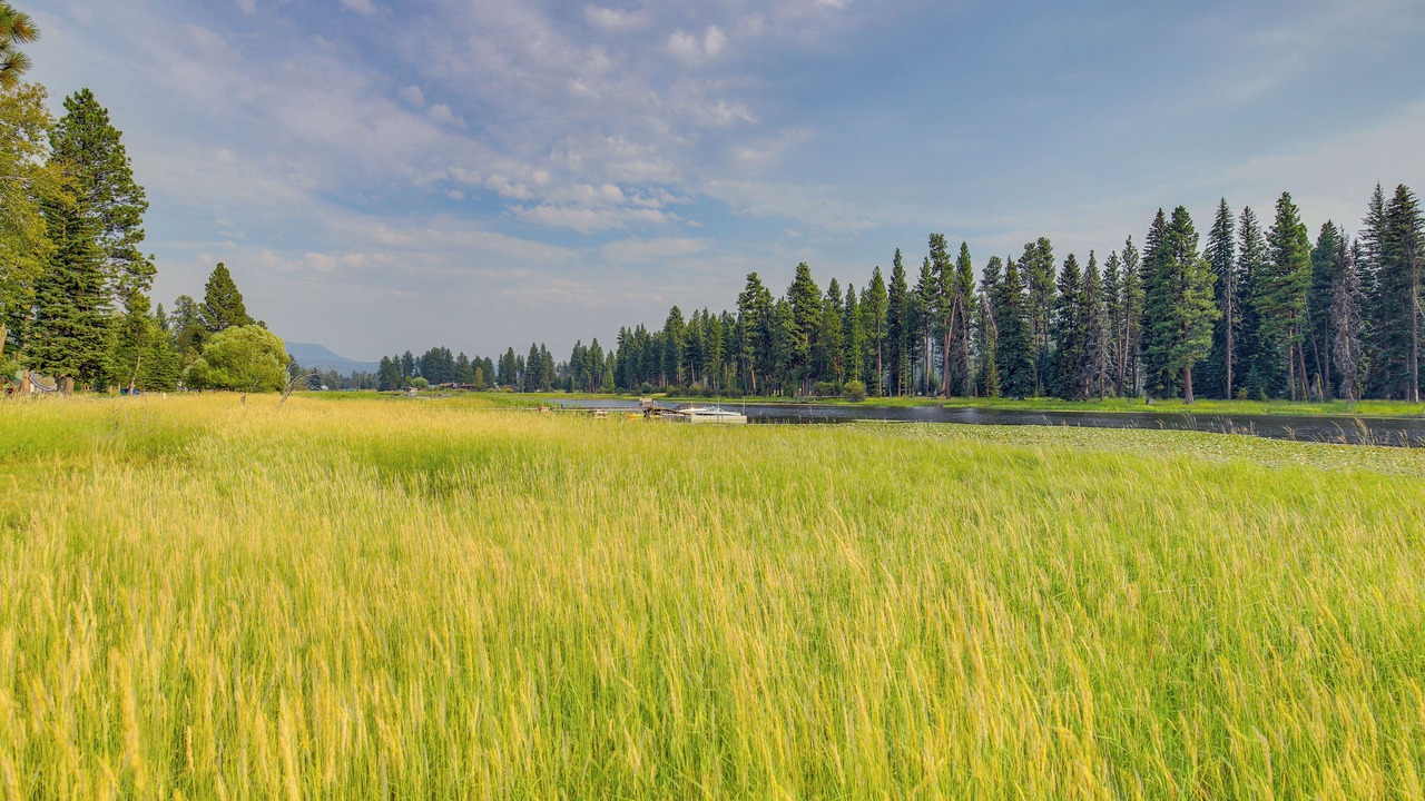 Photo of Outdoor in Seeley Lake