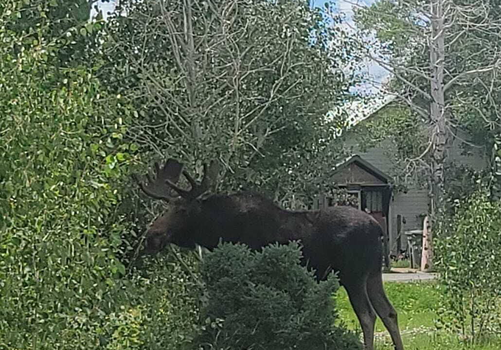 Photo of Others in Walden