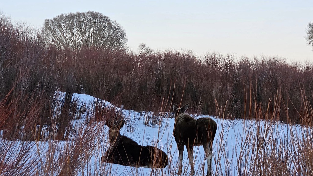 Photo of Others in Walden