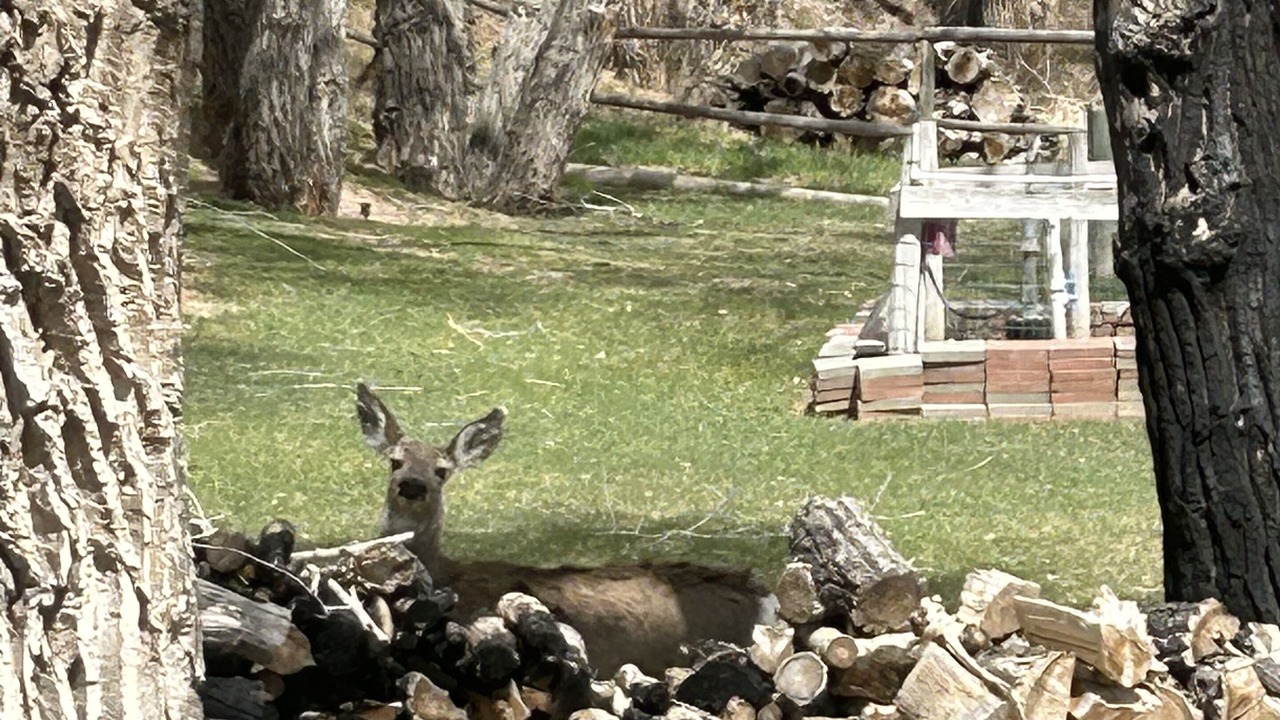 Photo of Outdoor in Dubois