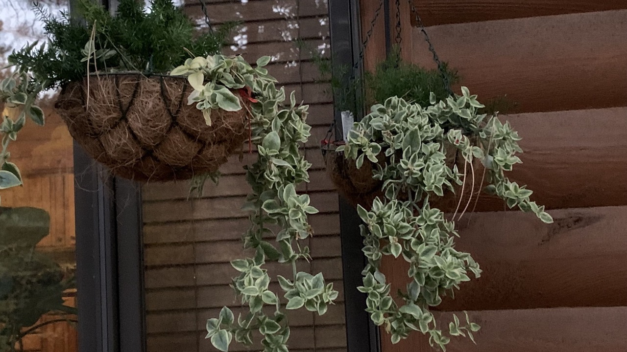 Photo of Outdoor in Saddlestring