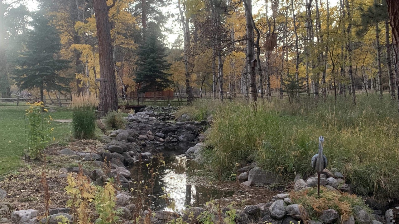 Photo of Outdoor in Saddlestring