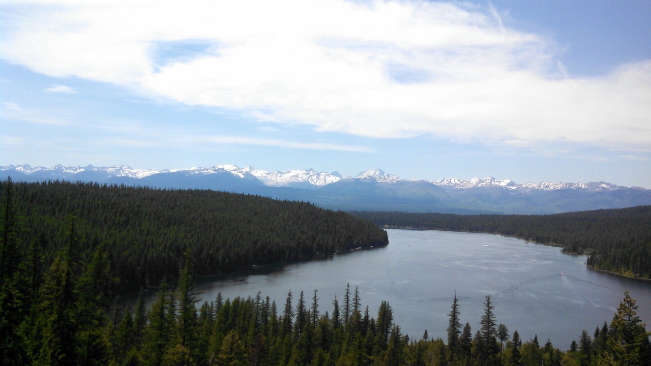 Photo of Outdoor in Condon