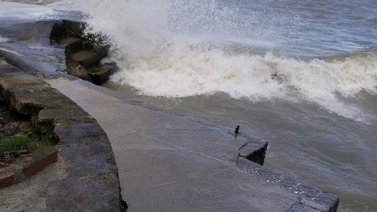 Photo of Others in Mentor-on-the-Lake
