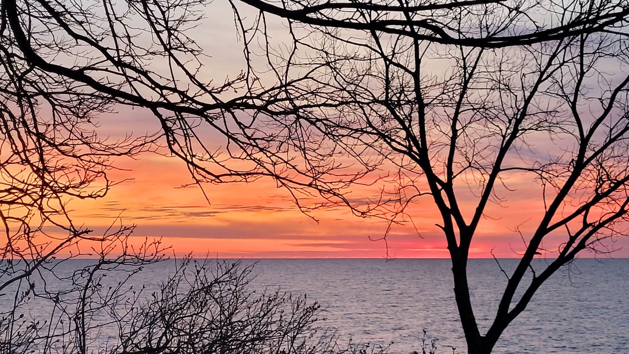 Photo of Outdoor in Mentor-on-the-Lake