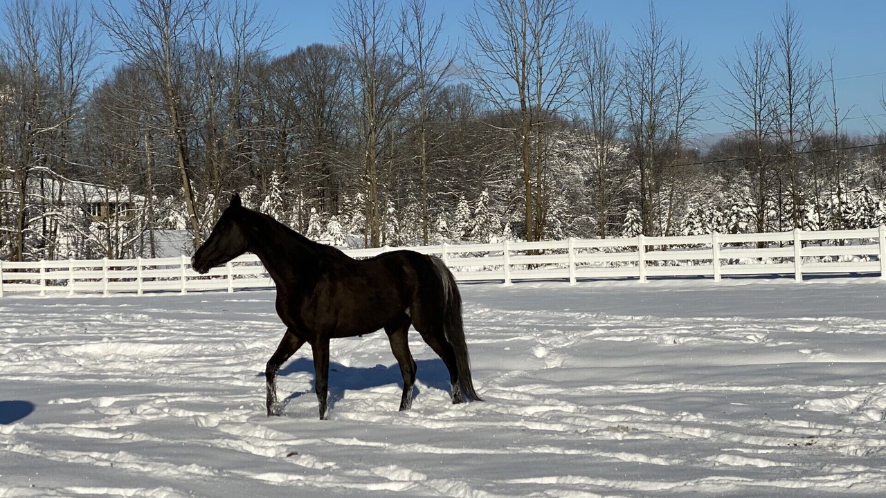 Photo of Others in North Royalton