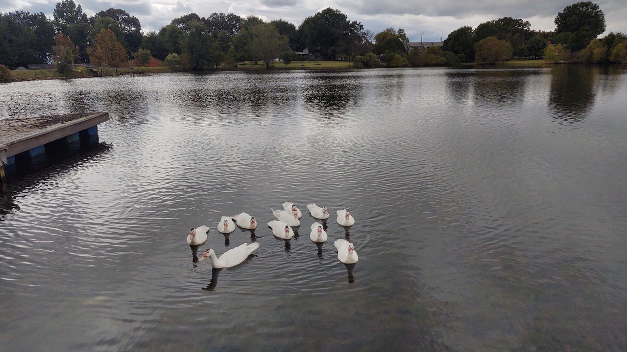 Photo of Others in Union County
