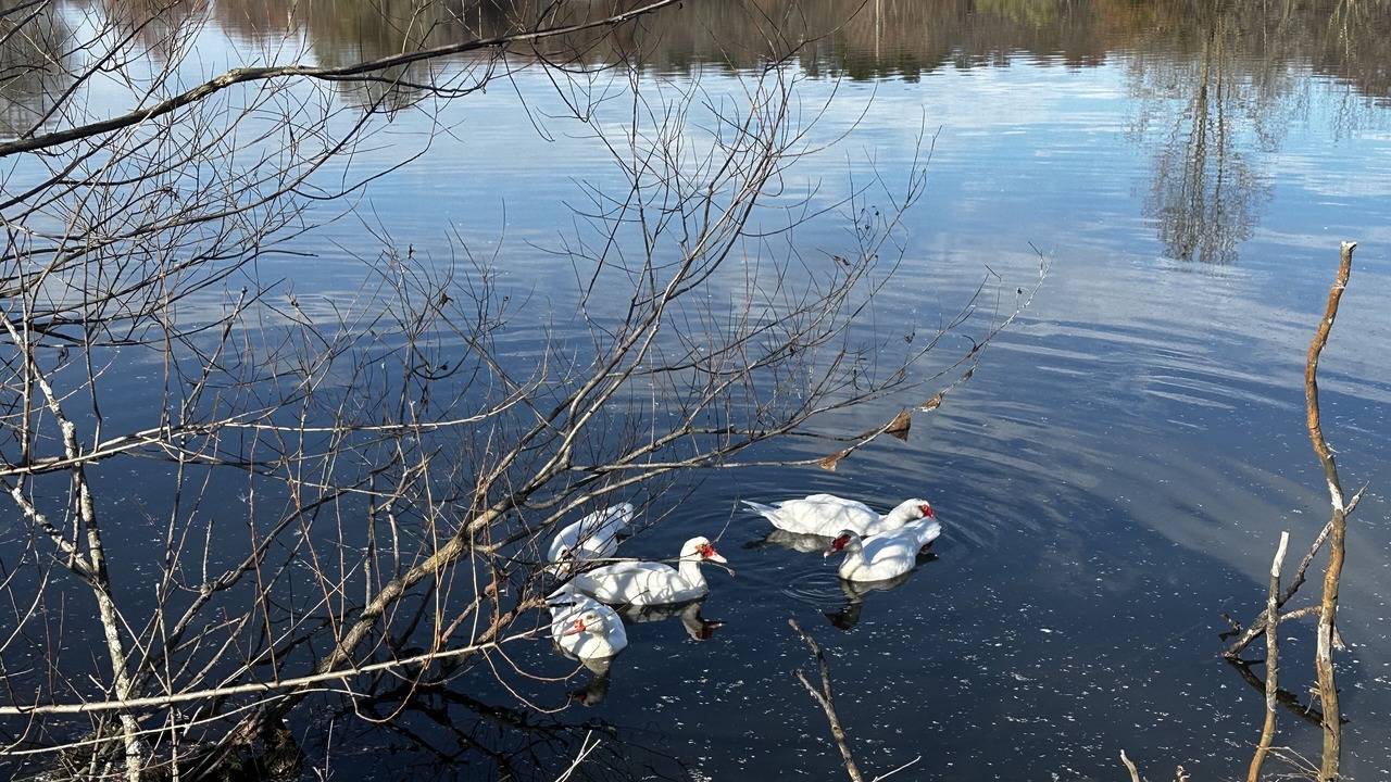 Photo of Others in Union County